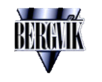 Bergvík